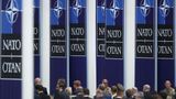 You Vote: Do you think the US should withdraw from NATO?