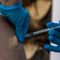 Nevada county considers banning COVID, flu vaccines