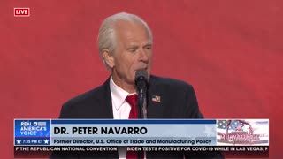 Peter Navarro Addresses the Republican Convention