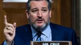 Cruz: Biden's telling 94% of Americans they're 'ineligible' by vowing to pick Black female justice