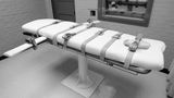 Christa Pike's attorneys say client is awake and speaking after failed execution