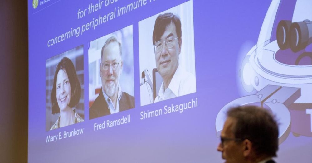 US, Japan scientists win Nobel medicine prize for immune system research discoveries