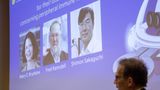 US, Japan scientists win Nobel medicine prize for immune system research discoveries
