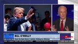 Bill O'Reilly: The Democrats Don't Know What to Do