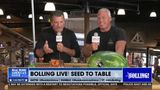 BOLLING LIVE FROM SEEDS TO TABLE