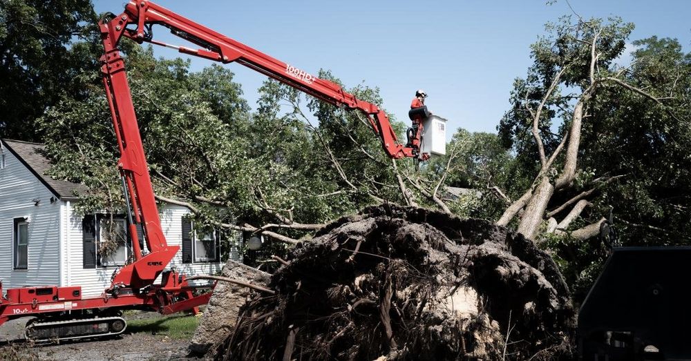 Residents of Gary, Indiana, still without power nine days after storm took down power lines