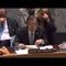 UN Security Council takes historic vote on Syria