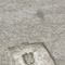 Archeologists discover 12,000-year-old 'Ghost Tracks' at military range in Utah