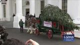 White House Christmas Tree Delivery (C-SPAN)