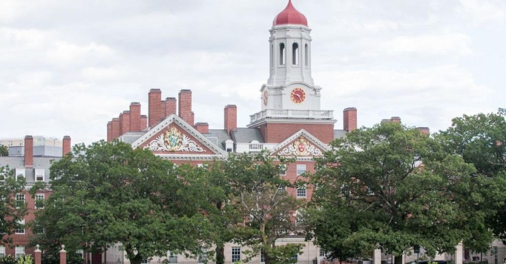 Black enrollment is down four percent at Harvard in first semester since affirmative action ruling