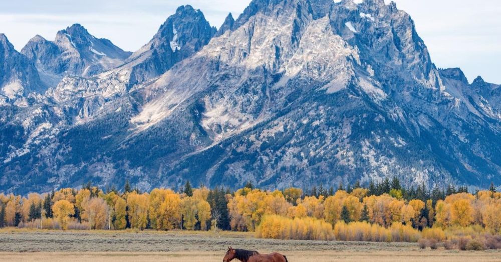 MLB drops plans for temporary baseball park in Grand Teton National Park following local backlash