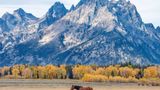 MLB drops plans for temporary baseball park in Grand Teton National Park following local backlash