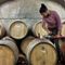 Wine makers in Illinois push to change Prohibition era regulations
