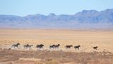 Utah, other Western states ask Supreme Court to return millions of acres of land back to the states