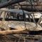 Thousands of responders struggle to constrain California’s McKinney fire