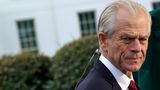 Peter Navarro pleads not guilty to contempt of Congress charges