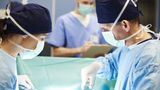 Surgeons transplant genetically-edited pig kidney into man in groundbreaking procedure
