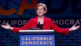 Warren to Activists: ‘Time for Small Ideas Is Over’