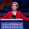 Warren to Activists: ‘Time for Small Ideas Is Over’