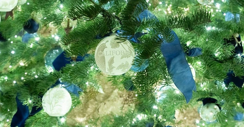 Watch Live: President Trump participates in National Christmas Tree Lighting