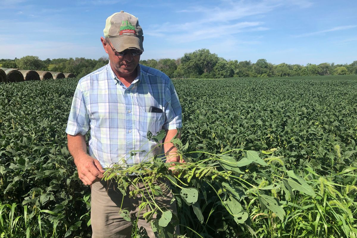 Farmers’ Loyalty to Trump Tested Over New Corn-Ethanol Rules