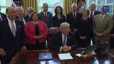 President Trump Signs a Memorandum on Aluminum Imports and Threats to National Security