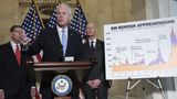 Wisconsin Senator Ron Johnson says Congress has to restore 'fiscal sanity' to the US budget