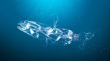 Widely relied-on estimate of plastic dumped yearly in oceans off by "magnitudes", new study says