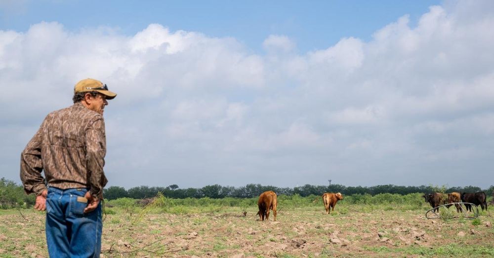 USDA confirms presence of flesh-eating screwworm in the U.S.