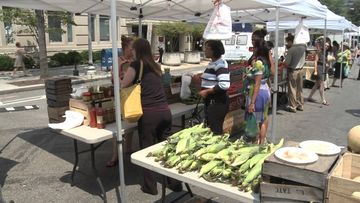 Farmers Market Battles Drought