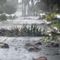 Ian flooding, storm surges expose vulnerability of batteries in electric vehicles sparking fire