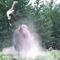 9-Year-Old Girl Tossed Violently by Charging Bison at Yellowstone