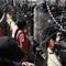 Border Patrol stops over 1,000 migrants who broke through Mexican lines to demand asylum