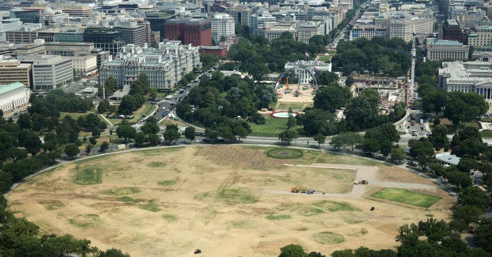 Lawn company to donate $1M to restore White House South Lawn following UFC fight