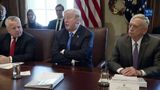 President Trump Holds a Cabinet Meeting