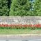 Spikes in COVID-19 cases sends Ivy League students home early, forces final exams online