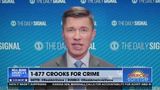 ACTIVIST GROUP LEADERS HAVE CRIMINAL RECORDS