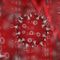 Coronavirus and the U.S. Stock Market: What Happens Next?