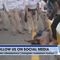 Hundreds of thousands of migrants head to our southern border. Ben gives an update and concerns.