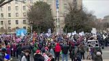 America’s Voice News at the Right to Life rally view of the crowd