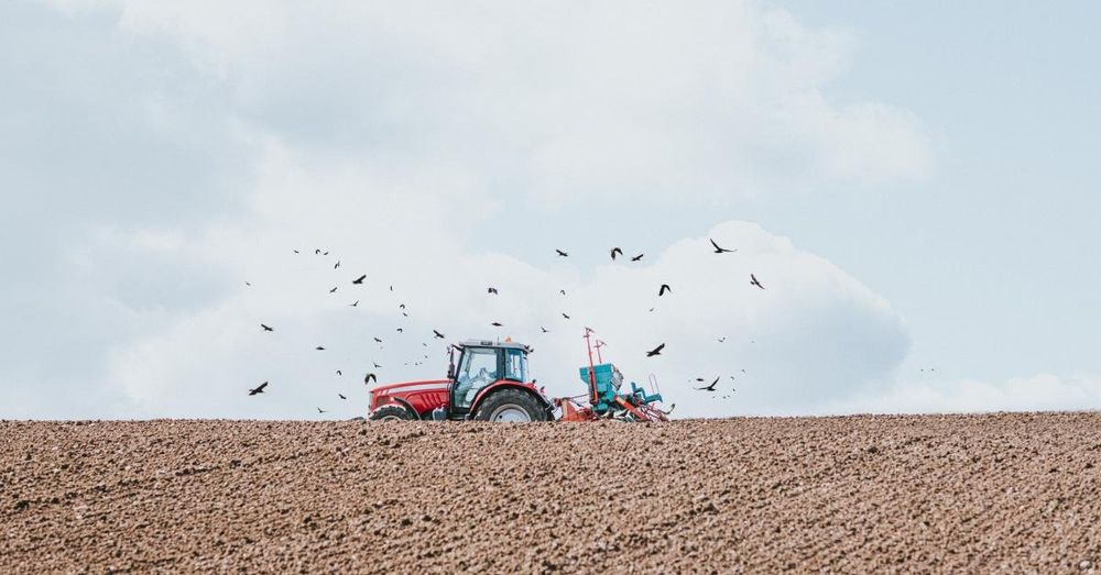 He turned down millions of dollars of solar money to save his farm. Then came the audit.