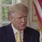 DOJ seeks contempt of court charges against Trump for not complying with subpoena: report