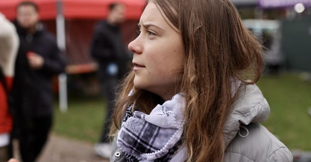 Greta Thunberg divides climate movement as her group promotes anti-Israel rhetoric