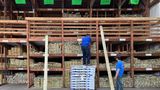 Lumber futures drop after sustained rise, signalling potential price drop for consumers