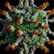 New York health officials say ‘hundreds’ more cases of polio possible throughout state