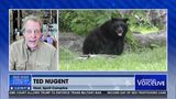"PREDICTABLE TRAGEDY...GOV. DESANTIS COULD FIX RIGHT NOW"