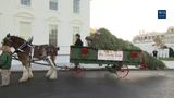 The First Lady Receives the 2017 White House Christmas Tree