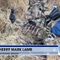 Border Crossers Leave Clues in the Mass of Trash They Drop