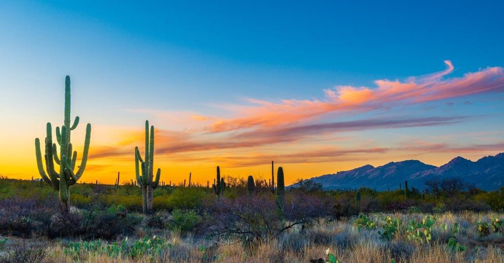 Judge declares mistrial for AZ rancher charged with murder of Mexican national near southern border