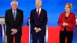 Democratic Presidential Candidates Trade Jabs, Assail Trump